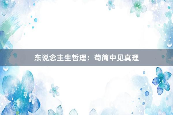 东说念主生哲理：苟简中见真理
