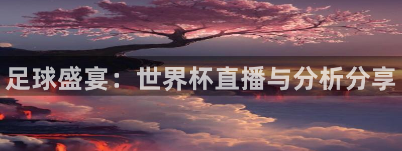 2026男足世界杯赛程:足球盛宴:世界杯直播与分析分享