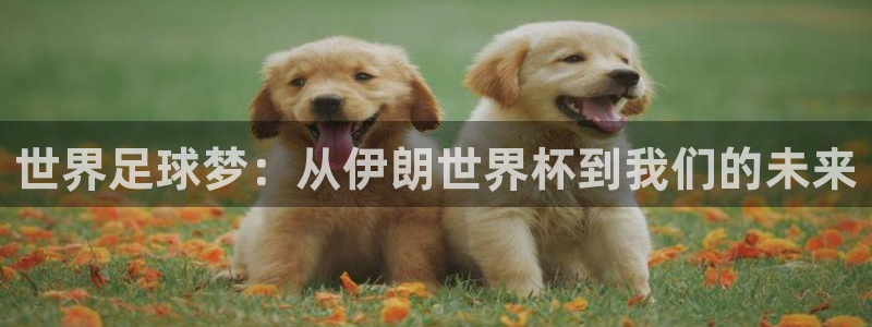 世界杯欧洲区世预赛赛程:世界足球梦:从伊朗世界杯到我们的未来