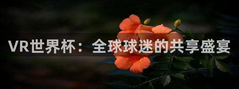 2026世界杯官网入口:VR世界杯:全球球迷的共享盛宴
