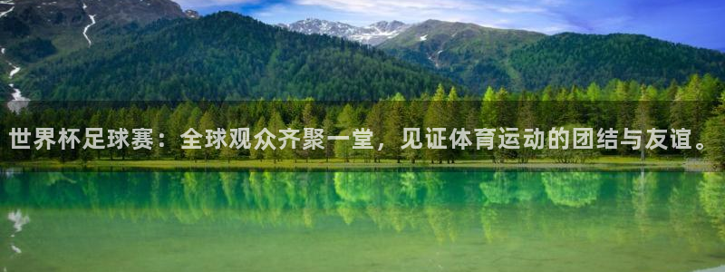 美国世界杯:世界杯足球赛:全球观众齐聚一堂,见证体育运动的团结与友谊。