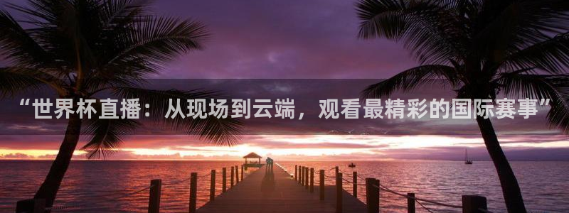 2026年男足世界杯:“世界杯直播:从现场到云端,观看最精彩的国际赛事”